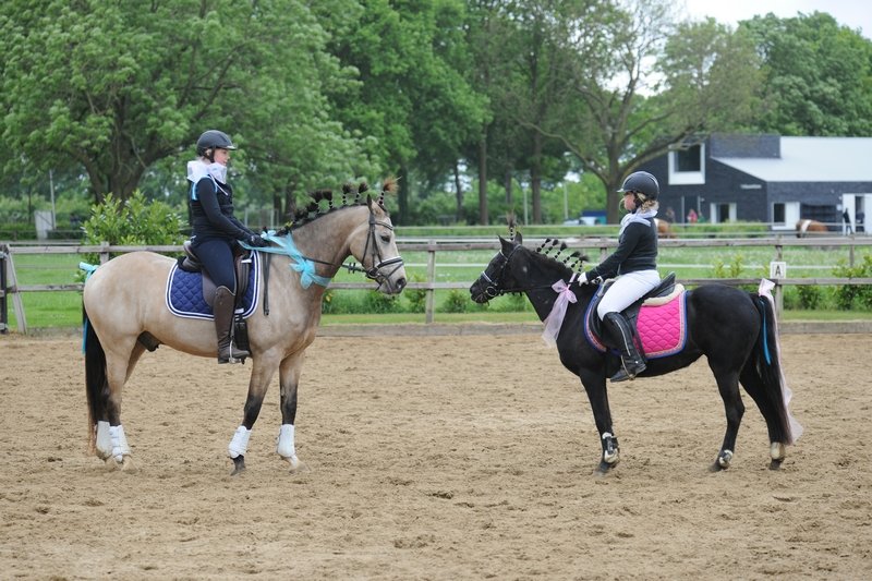 paardensportvereniging De Doornslagruiters