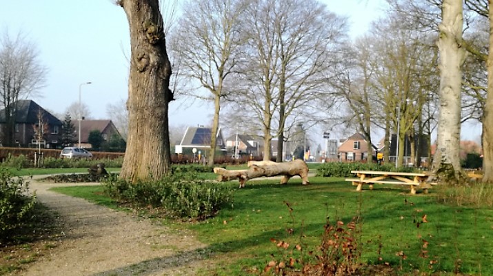 parkje met oude bomen en bankjes