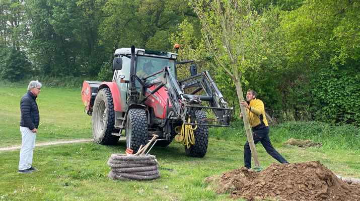 Keppelse Golfclub plant Canadese esdoorn als eerbetoon aan bevrijders