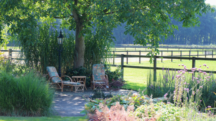 tuin met stoelen aan vijver onder boom met uitzicht op weiland