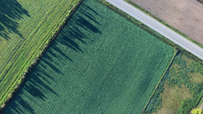 luchtfoto van weg en weiland met schaduw van bomen