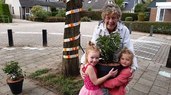 oudere vrouw met twee kleine meisjes houden samen een plant vast