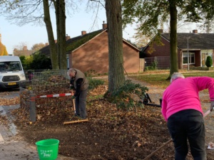 mensen werken in plantsoen