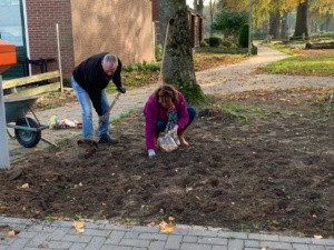 mensen poten bollen in plantsoen