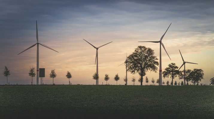 windturbines bij bomenrij