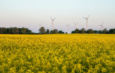 Bronckhorst vraagt mening over windmolens windmolens