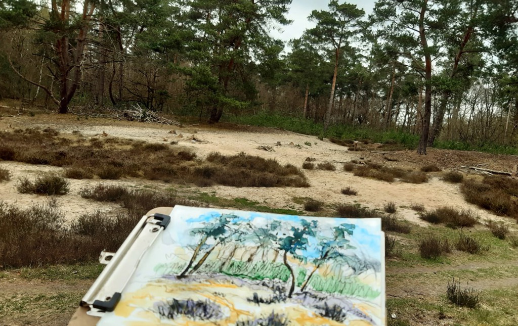 natuurschets klein heidelandschapje Coldenhove door Ingrid Terpstra