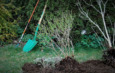 Planten redden van de sloop struiken met tuingereedschap