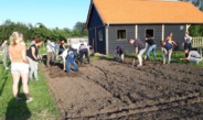 NIEUWSFLITS: Meld je snel nog aan voor de moestuincursus!